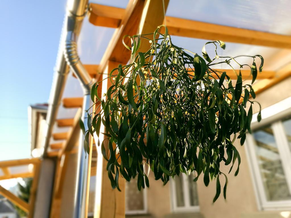 Fagyoengy Apartment Sarvar Exterior photo